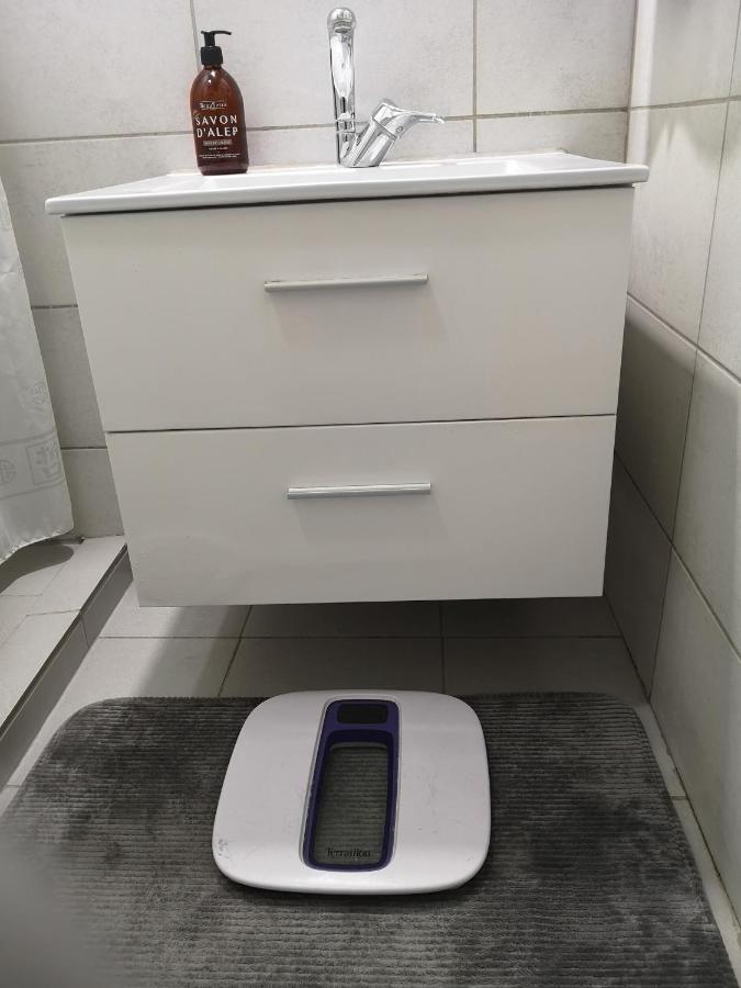 זלסטאט Bel Appartement, Grand Balcon Et Parking Prive מראה חיצוני תמונה